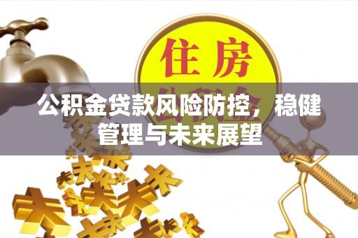 柞水公积金贷款风险防控，稳健管理与未来展望
