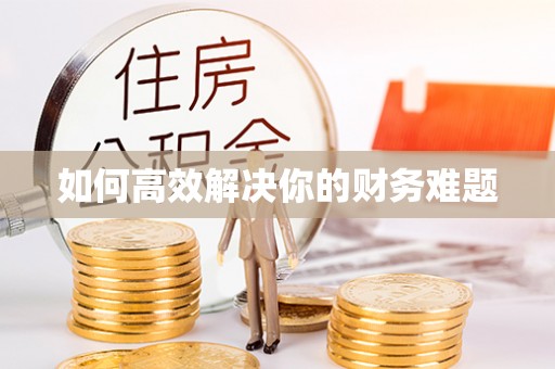 柞水如何高效解决你的财务难题
