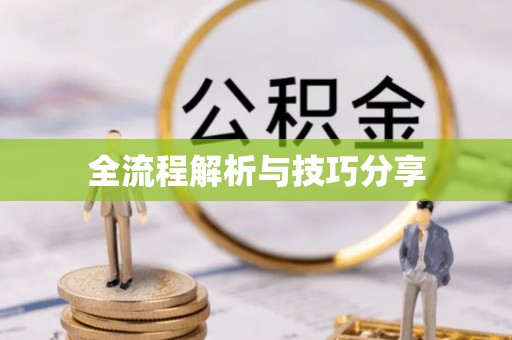 柞水全流程解析与技巧分享