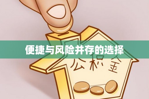 柞水便捷与风险并存的选择